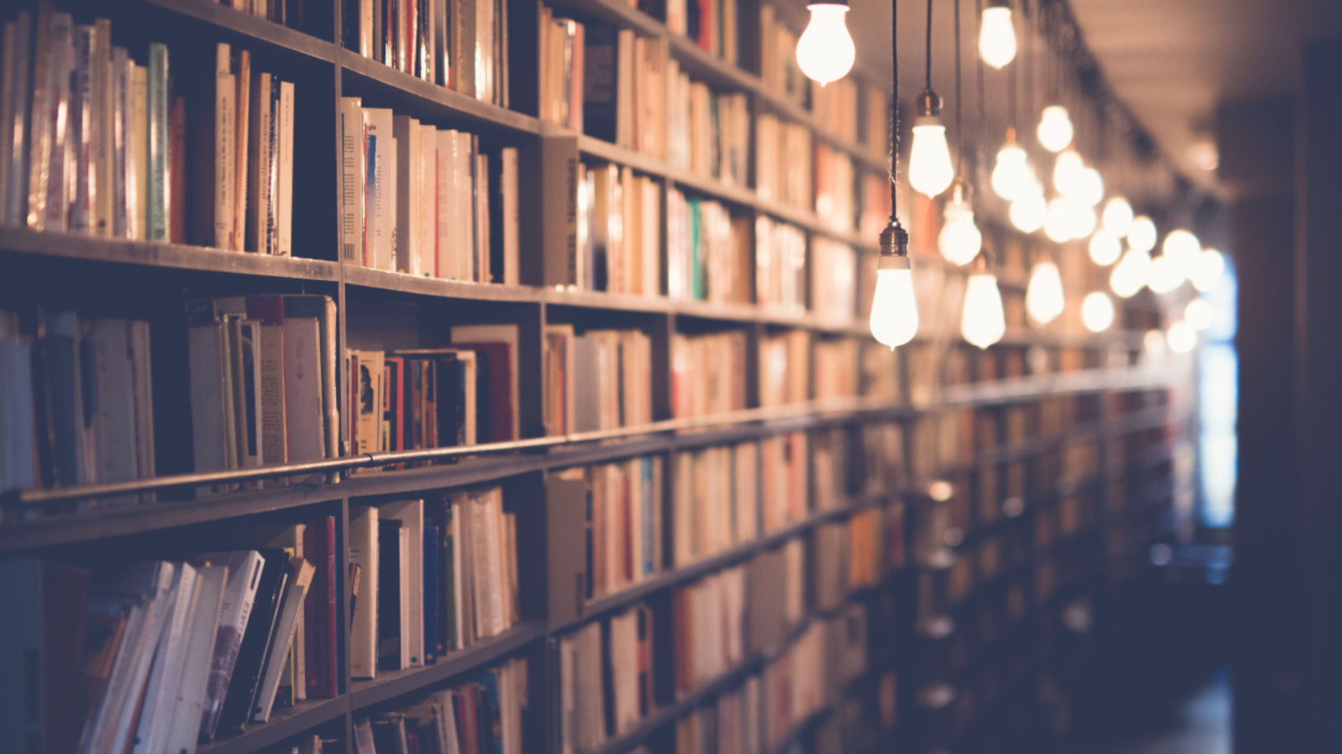 A research library lit by a line of warm lamps